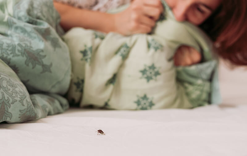 femme punaise de lit