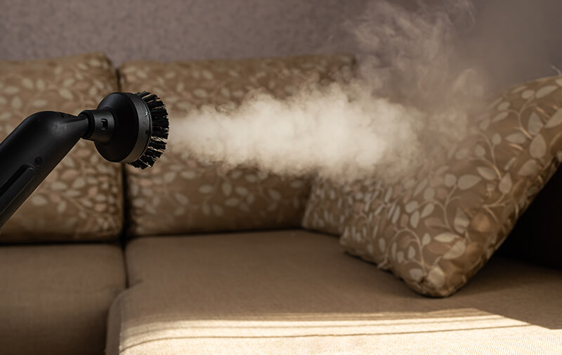 nettoyeur vapeur punaise de lit